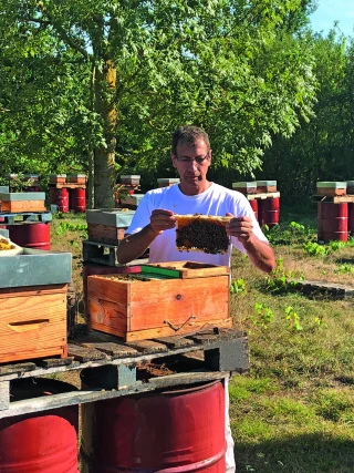 La filière apicole française cherche un second souffle