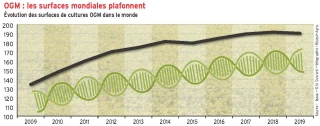 Les surfaces OGM plafonnent dans le monde