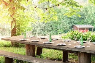 MiiMOSA s’engage dans l’agrotourisme