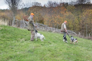 3,2 millions d’euros en faveur du nouveau plan de chasse