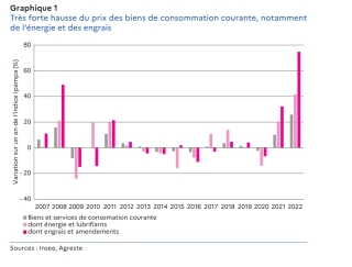Hausse historique du prix des intrants en 2022
