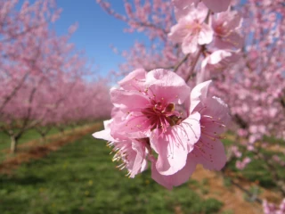 « Il faut davantage d’humain dans les contrôles »