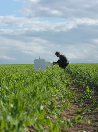 Néonicotinoïdes : Agriodor veut les remplacer par des parfums