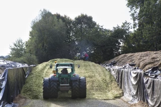 Une campagne d'ensilage avec de fortes disparités