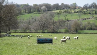 Près de neuf agriculteurs sur dix ont déposé une demande d’éco-régimes