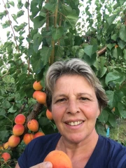 « La théorie du boxeur » donne la parole aux agriculteurs 