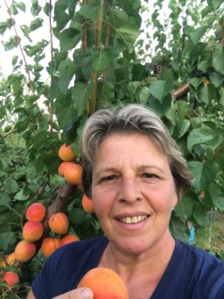 « La théorie du boxeur » donne la parole aux agriculteurs 