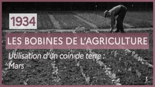 À l’épreuve des évolutions