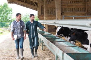 Comprendre la biosécurité en élevage