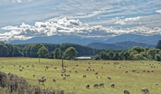 UE/Nouvelle-Zélande : l’accord entrera en vigueur le 1er mai