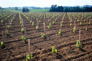 Réchauffement climatique : des perdants et des gagnants