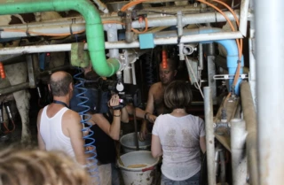 Le camping à la ferme : un prolongement de l’activité agricole 