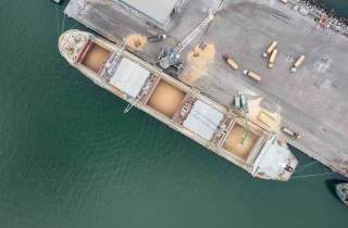 La France exportera en 2024 - 2025 seulement 20 Mt de grains