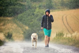 Beaucoup de pluie, mais peu de soleil