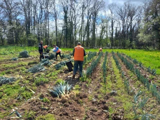 Le don alimentaire agricole, une pratique qui se multiplie
