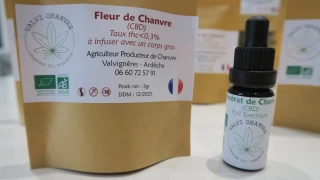 Entre diversification prometteuse et flou réglementaire