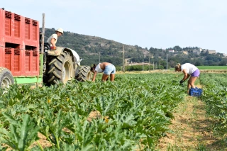 Tout savoir sur l’embauche de saisonniers ou de salariés