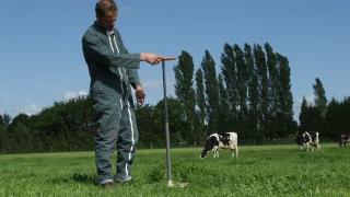 Bonne pousse de l’herbe au printemps