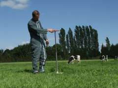 Bonne pousse de l’herbe au printemps 