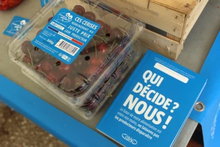La marque des consommateurs C’est qui le patron ?! va commercialiser des fruits et légumes français