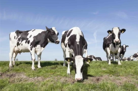 Sécheresse record en Europe au mois d’août