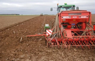 Très bonnes conditions des semis précoces des céréales d'hiver