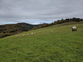 Un mois d’octobre tout en contrastes
