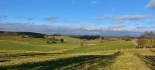 Le projet de loi d'orientation agricole adopté en première lecture