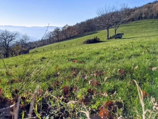Soleil et douceur en février