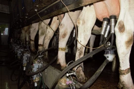 Précision: le lait Le Gourmand « n’est plus commercialisé chez Carrefour depuis plus de cinq ans » 