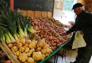 Les réseaux de distribution du bio à la loupe