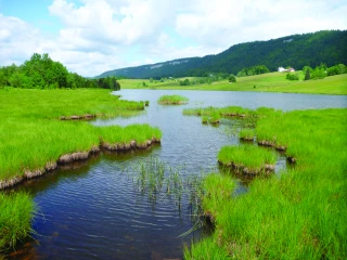 Des écosystèmes qui rendent service à la société
