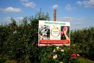 Les vergers écoreponsables engagés pour les pollinisateurs