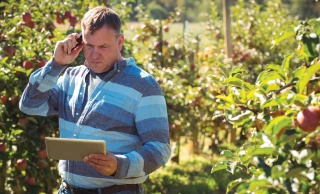 Le gouvernement veut muscler l’accompagnement des start-up agricoles