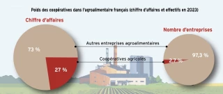 Les coopératives pèsent un quart de l'agroalimentaire français