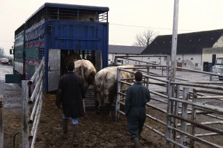 Les négociants veulent faciliter les transits
