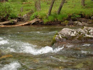 Changement climatique : l’eau au cœur des stratégies d’adaptation
