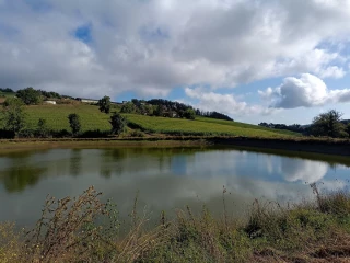 Stockage de l’eau : de la citerne aux réserves de substitution