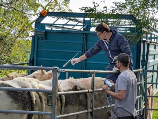 Vaccination : aller vite pour la ZR1