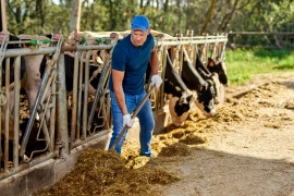 Les patrons agricoles en moins bonne forme mentale que la moyenne