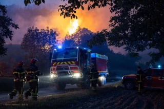 Deux propositions de loi pour adapter les forêts au climat