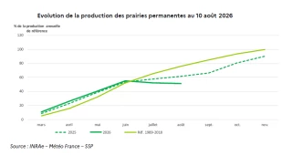 La pousse reste fortement déficitaire au 10 août