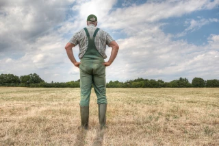 Le plan d'aide agricole sera dévoilé le 3 septembre