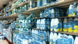 Le prix du lait en GMS alarme les éleveurs