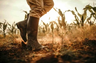 Une facture à 30 milliards d’euros pour l’agriculture française