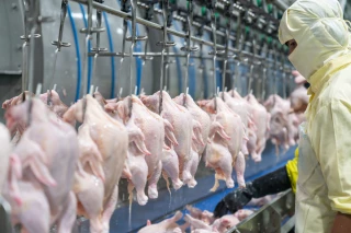Viande brésilienne : l’UE ouvre la porte à la volaille