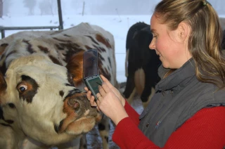 Femmes en agriculture : premier bilan du plan gouvernemental
